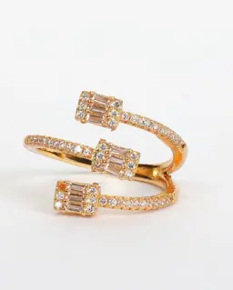 Hingulîsk – Ring- 04007 1